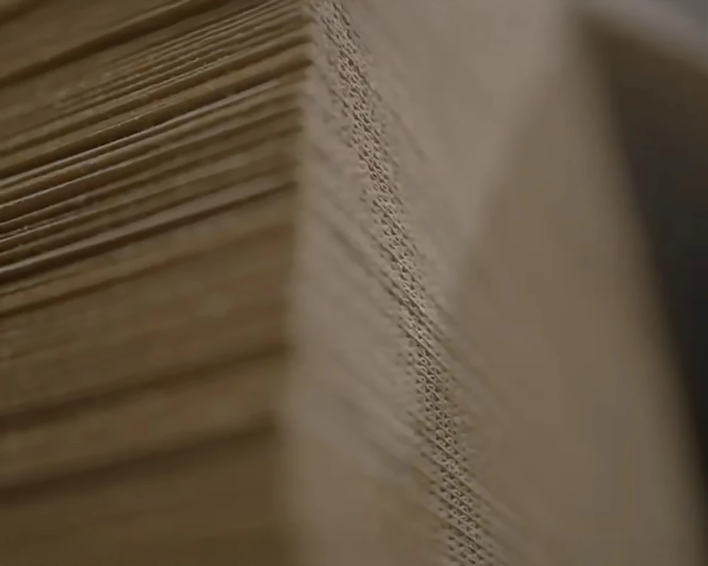 Close-up del perfil de flauta